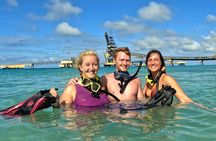 Private Bonaire Snorkeling Experience