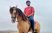 Horseback ride 1 hour between dunes beach and forest in Essaouira