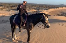 Horseback ride 1 hour between dunes beach and forest in Essaouira