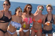 Montego Bay Private Afternoon Catamaran Open Bar and Snorkeling