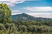 Wine Tasting and Tour in Prosecco Hills