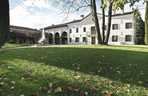 Wine Tasting and Tour in Prosecco Hills