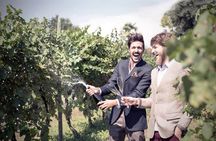 Wine Tasting and Tour in Prosecco Hills