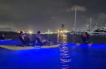 Night Glow Chiliboats Waterbike Tour in San Juan