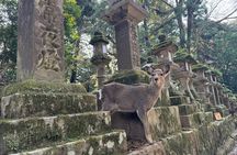 Private Nara Tour and Sake Tasting (Departing from Kyoto/Nara)