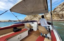 Private Tour Ballestas Islands and White Island from Paracas