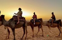 Agafay desert: Camel Ride, Quad Bike, Magical Dinner and Show
