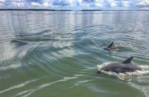 Private Hilton Head Sunset Dolphin Tour