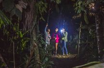 Night Walk Nosara Activity