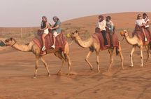 Premium Desert Quad (ATV) Bike Ride Adventure & Sand boarding