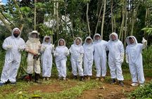 Inside the Hive: Kauai Honey and Bee Tour