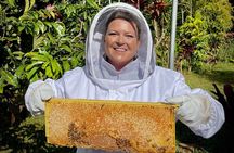 Inside the Hive: Kauai Honey and Bee Tour