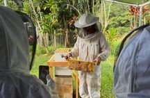 Inside the Hive: Kauai Honey and Bee Tour