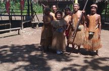 3/Days 2 Nights Amazon Rainforest Wildlife 270 usd