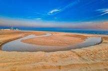 Doha Group Desert Adventure with Quad Bikes and Camel Rides