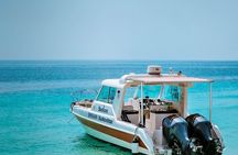 Snorkeling Trip To Daymaniyat Island