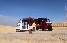 Gqeberha Tuk Tuk Tour to St Peters and SANCCOB