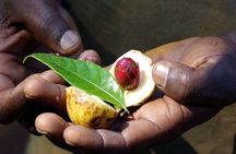 Stone Town Historical Tour and Spice Farm Tour