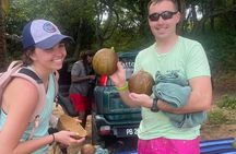 Authentic St Lucia Calabash Carving Experience with Local Artist