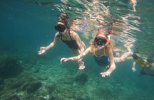 Snorkeling Adventure in Musandam with lunch