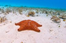 Excursion to Cozumel from Cancun