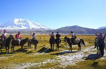 4-Night Kashgar Tour of Xinjiang