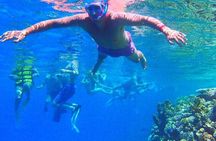 Tiran Island Excursion From Sharm Elsheikh