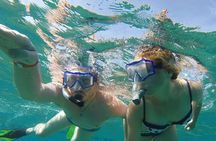 Tiran Island Excursion From Sharm Elsheikh