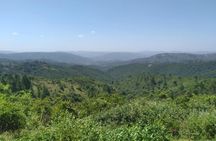Isithumba Village and Phezulu safari Park Tour