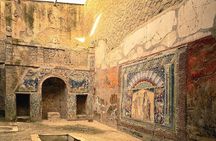 Exclusive Herculaneum tour with Expert!