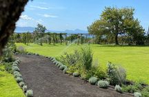 Classic Italian Lunch on Mt. Vesuvius