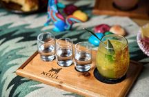 Shared Mezcal Tasting Experience in Valladolid Mexico