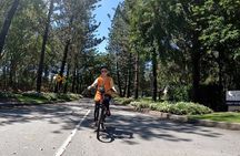 Novotel North E-Bike Tour
