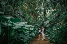 Ishigaki Island Private Tour by English Native Speaker