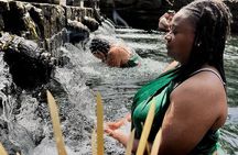 Ubud Highlights Full-Day Tour - Small Group 