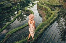 Ubud Highlights Full-Day Tour - Small Group 