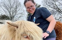 Scottish Highland Fluffy Cow Experience with Gelato and Coffee 