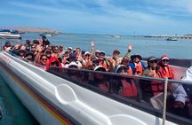 Paracas, Ica and Huacachina Day Trip from Lima