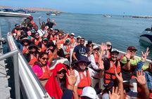 Paracas, Ica and Huacachina Day Trip from Lima