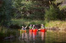 Eco Canoe Tour