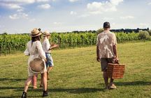 Pic Nic in the Vineyard with wine tasting