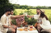Pic Nic in the Vineyard with wine tasting