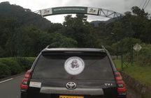 2 Days Private Chimpanzee Tracking and Canopy Walk in Nyungwe NP