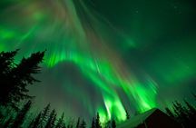 Rovaniemi Northern Lights and Photography Tour Small group