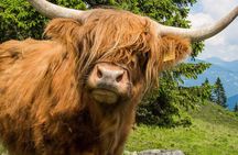 5 Day Isle of Skye, Glencoe and Loch Ness Tour from Edinburgh