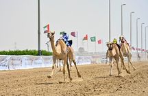 Explore Richard Sierra's Umbrella Rock in West Qatar Tour