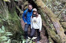 Hiking Cuajimoloyas: Towns and Villages Tour