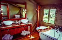 3-Day Cape Town Big Five Safari & Elephant Encounter