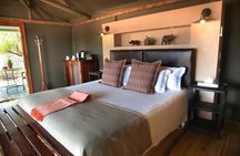 3-Day Cape Town Big Five Safari & Elephant Encounter