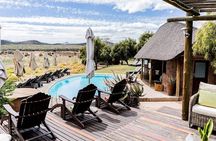 3-Day Cape Town Big Five Safari & Elephant Encounter